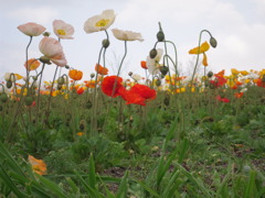 万博公園