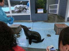 鳥羽水族館