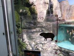 鳥羽水族館