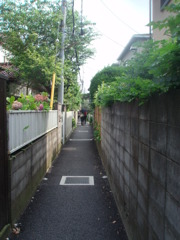 鎌倉の裏路地