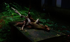 A natural art