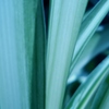 green#1