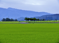 日本風景