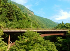 the bridge