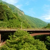 the bridge