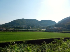 country side