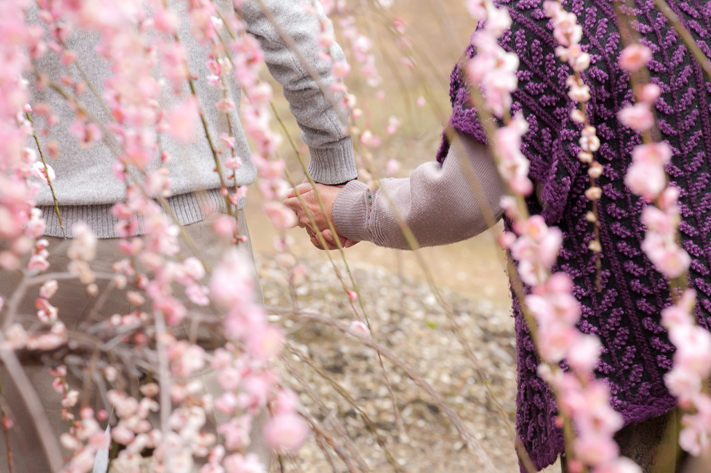 花よりもなほ