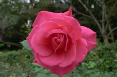 20111103 049_R