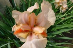 20110515 028_R