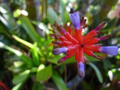 20110410 032_R