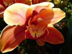 20110410 047_R