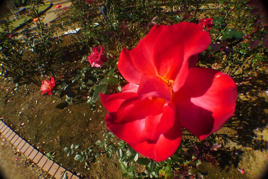 20111101 084_R