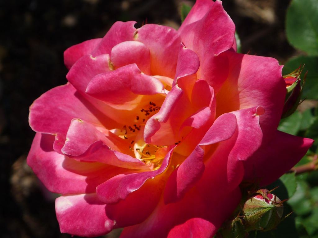 20110410 101_R
