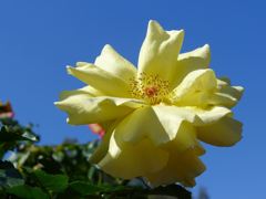 20110410 099_R