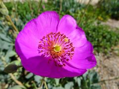 20110410 009_R