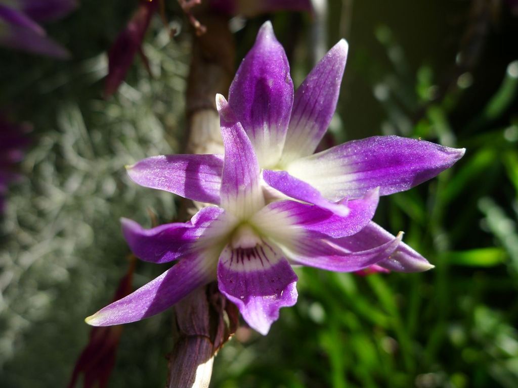 20110410 044_R