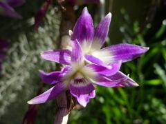 20110410 044_R