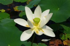 20110712 002_R