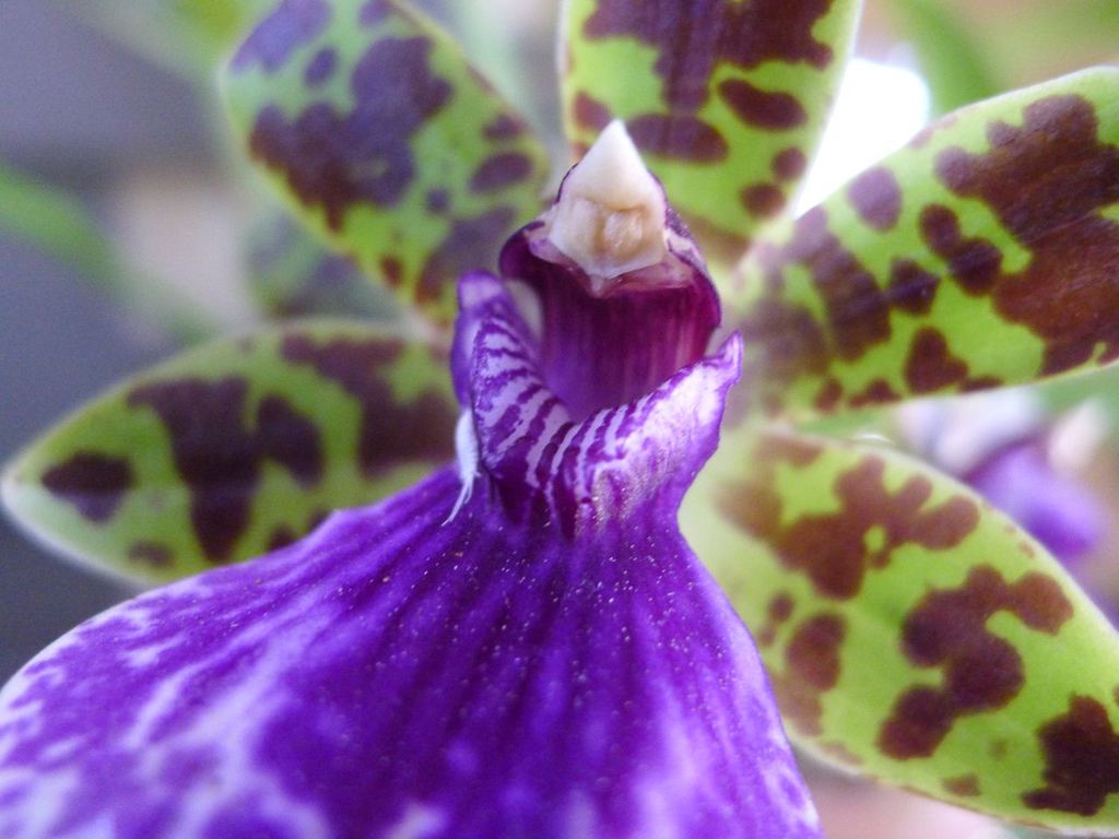20110410 028_R