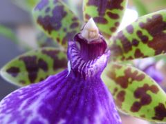 20110410 028_R
