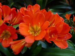 20110410 020_R