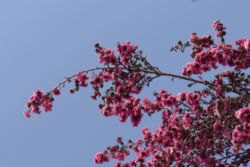 20110520 007_R