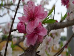 20110422 071_R