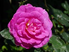 20110410 098_R