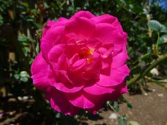 20110410 096_R