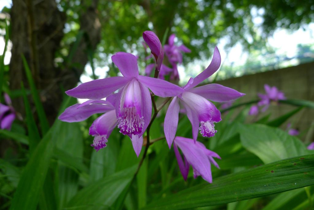 20110520 002_R