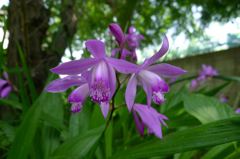 20110520 002_R