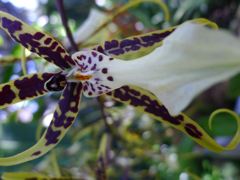 20110410 055_R
