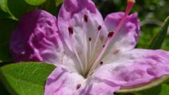 20110515 017_R