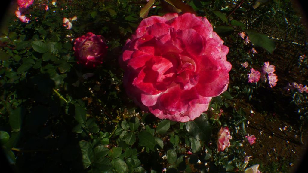20111101 096_R