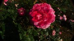 20111101 096_R