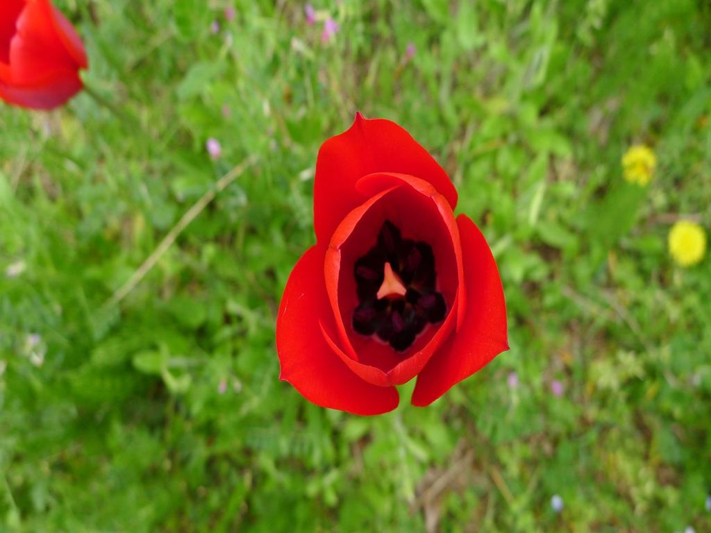 20110422 053_R
