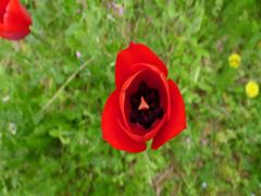 20110422 053_R
