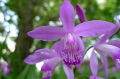 20110520 003_R