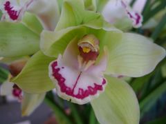 20110410 022_R