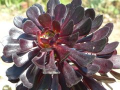 20110410 105_R