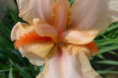 20110515 027_R