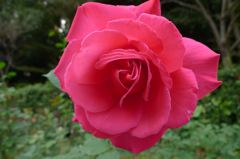 20111103 043_R