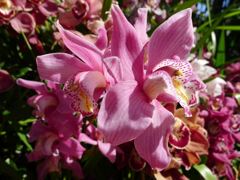 20110410 046_R