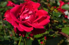 20111101 089_R