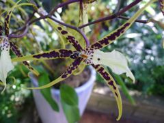 20110410 054_R