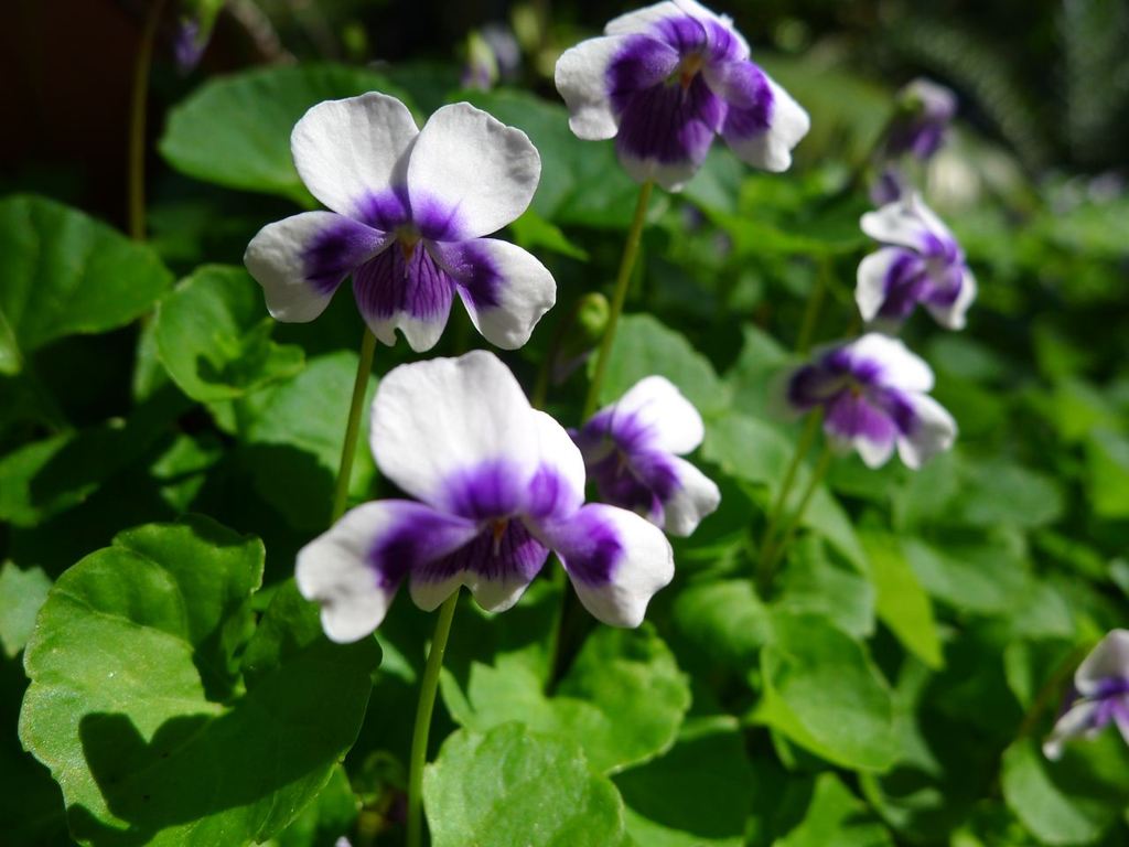 20110410 031_R