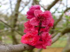 20110422 077_R