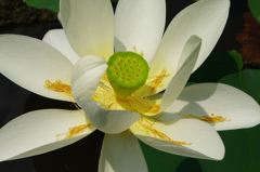 20110712 003_R