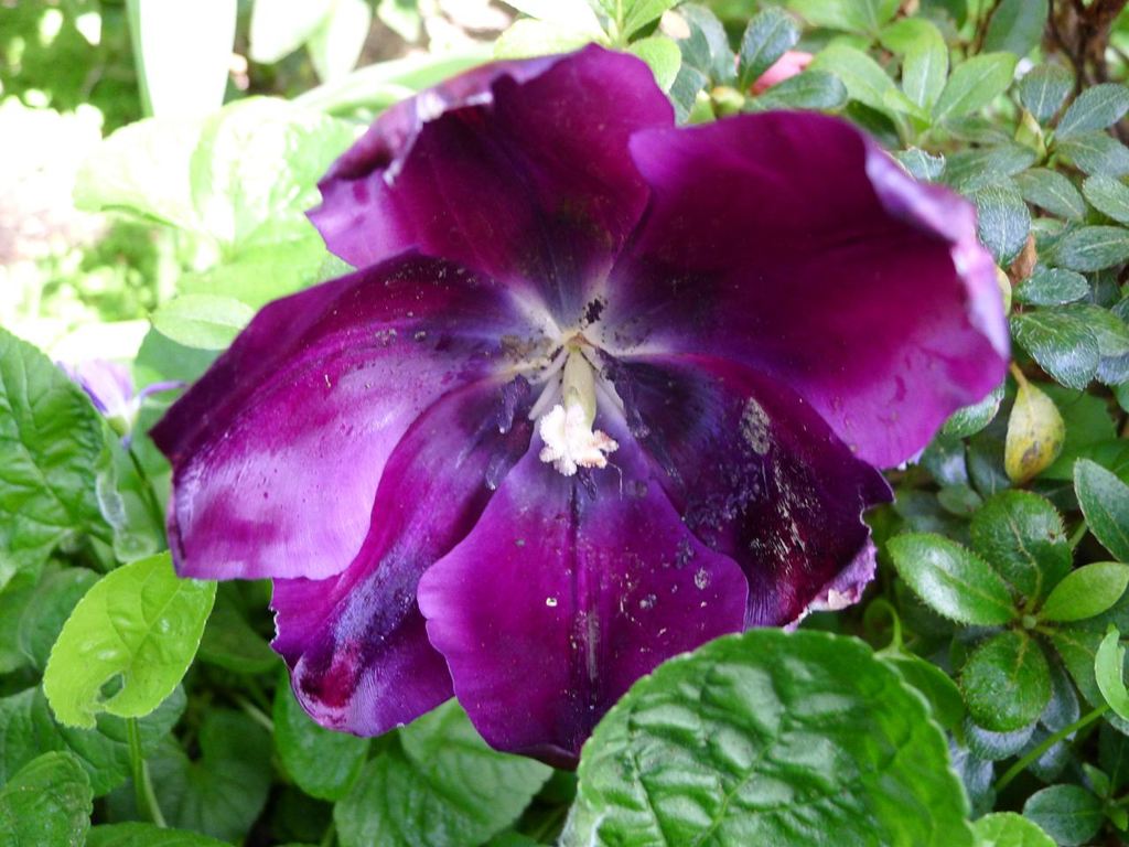 20110410 040_R