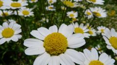 20110515 009_R